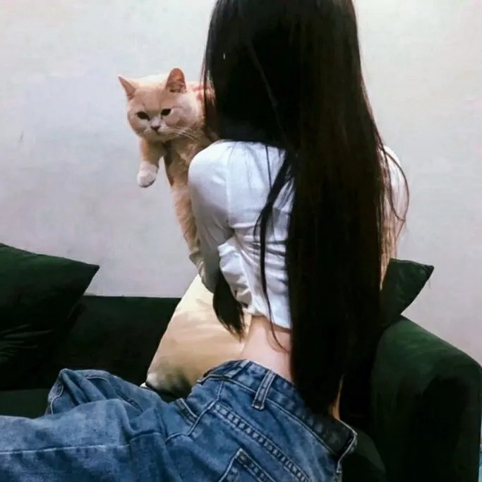 暴龙来袭